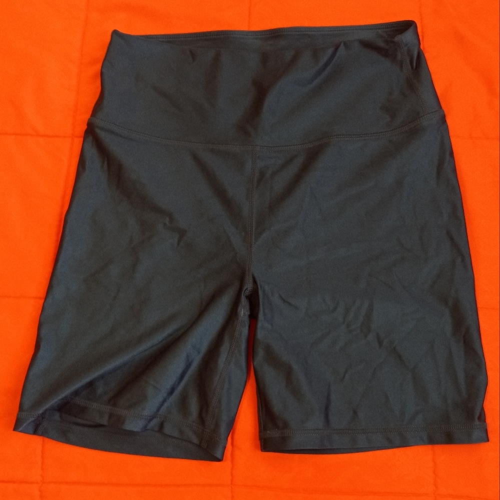 Fabletics Blue Athletic Shorts High-Rise Performance
